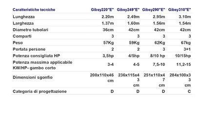 Battello Gibsy "E" 200 - 220-249-290-310